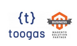 ecommerce-business-analyst-toogas-antoine-soares
